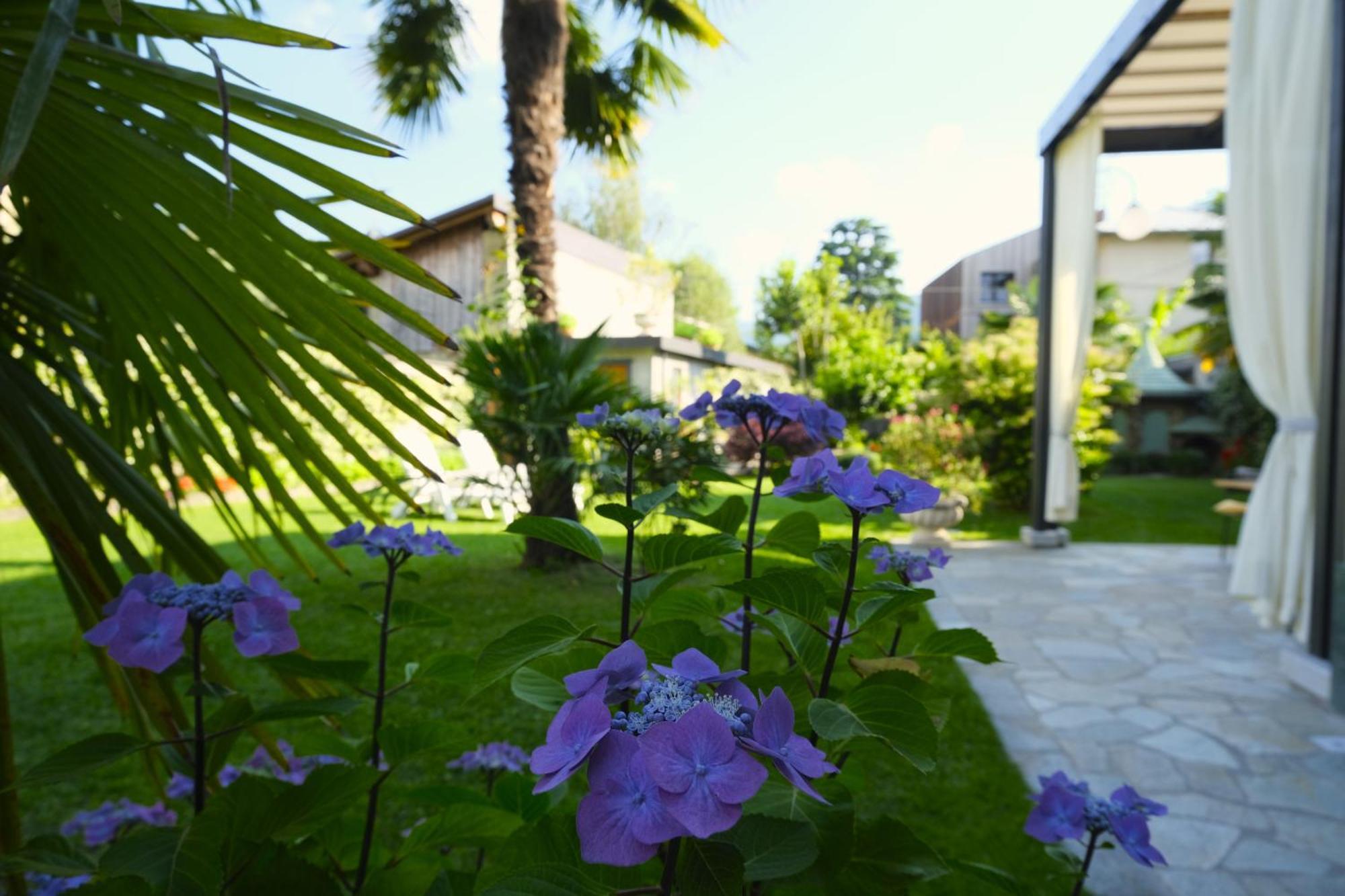 Residenza Laurum B&B Mandello del Lario Exterior foto